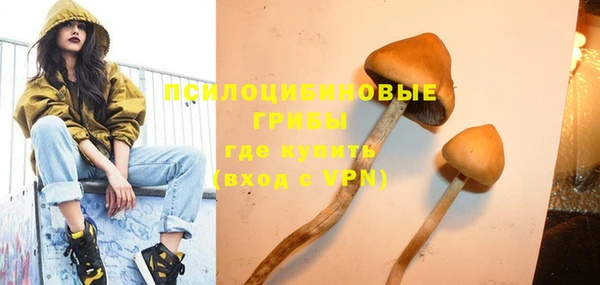 спиды Володарск