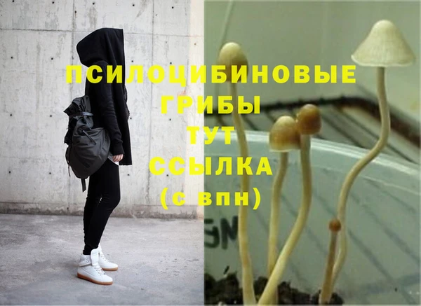 MDMA Premium VHQ Волоколамск