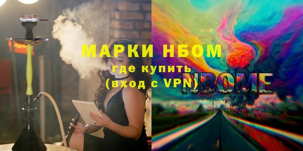 шишки Слюдянка