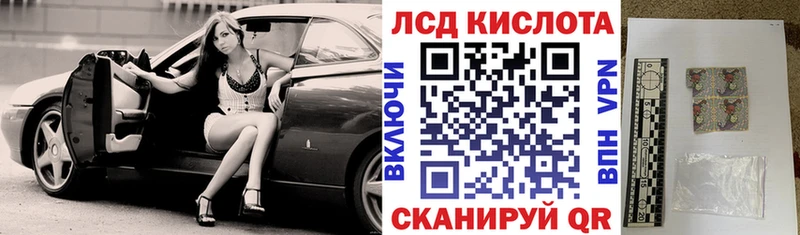 купить закладку  Канаш  Наркотические марки 1,8мг 