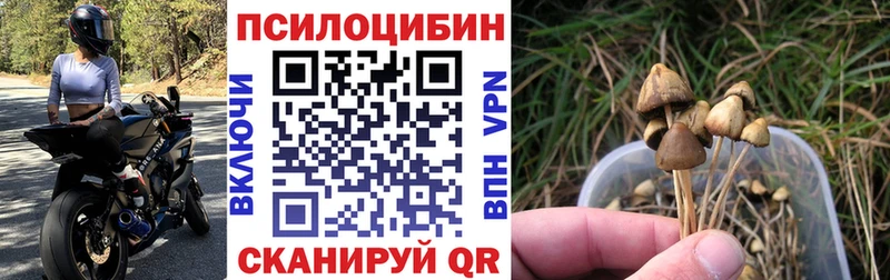 даркнет какой сайт  Канаш  Псилоцибиновые грибы ЛСД 