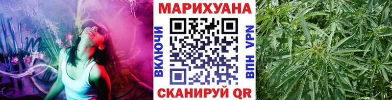 MEGA как войти Канаш Бошки марихуана индика